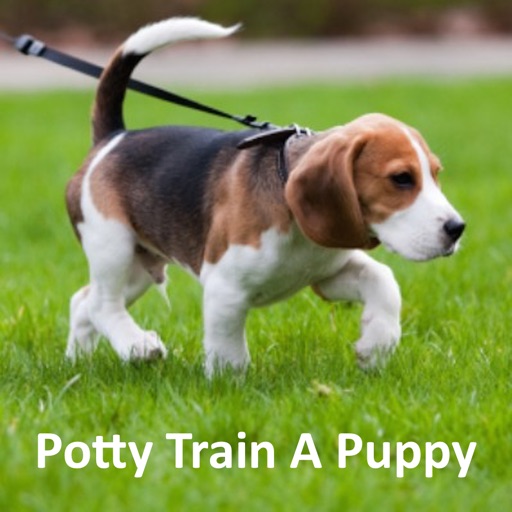 How To Potty Train A Puppy icon