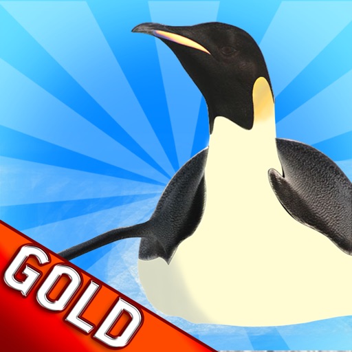 Penguin Glide Racing : The North Pole Cold Winter Race - Gold Edition icon