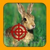 Rabbit Hunter
