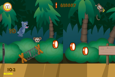 Jungle Bear Jump Coin Hunting Adventure - Top Land Running Trap Jumper Free screenshot 3