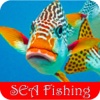 Sea Fishing - Popular Ways for Enjoying Deep Sea Fishing