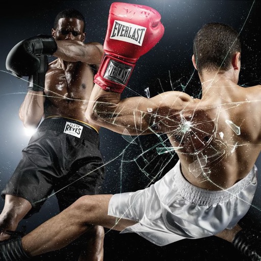 Boxing Wallpapers - Best Collection Of Boxing Wallpapers icon