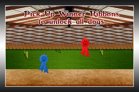 Small Dog Beauty and Agility Contest : The cutest animal race - Free Edition screenshot 4