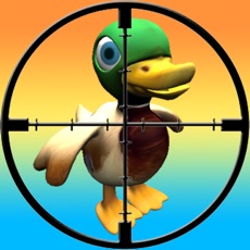 Activities of Duck Hunting Extreme