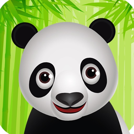 Panda Band HD - Fun music app for kids! icon