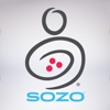 SOZO Global Mobile