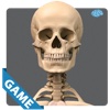 Skeletal Anatomy Game