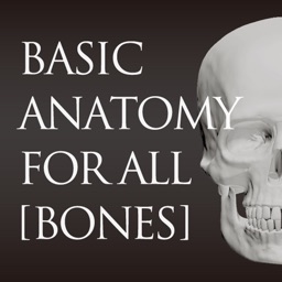 basic anatomy for all [bones]