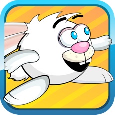 Activities of Flappy Rabbit Racing