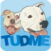 Tudme