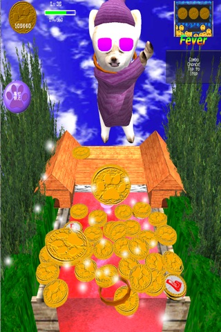 Coin Dog screenshot 2