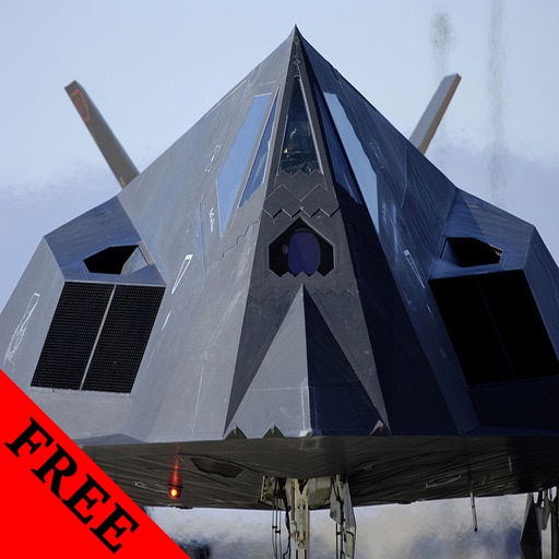 F-117 Nighthawk FREE