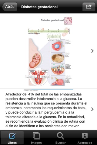 Miniatlas Diabetes Mellitus screenshot 4