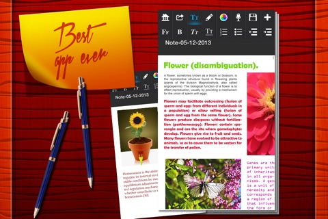 Notebook For School screenshot 2