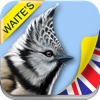 Waite's Guide to Birds: United Kingdom