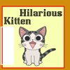 Hilarious Kitten