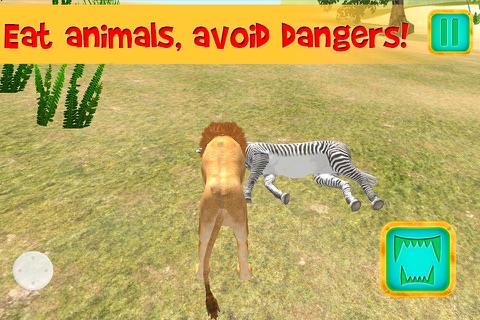 Safari Wildlife: Lion Simulator 3D Full screenshot 2