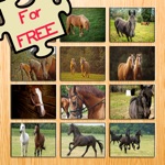 12 Animated Horse-s  Pony Puzzle-s For Kids