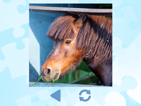 Horse Puzzles for girls: jigsaw puzzle fun with many different horses screenshot 2