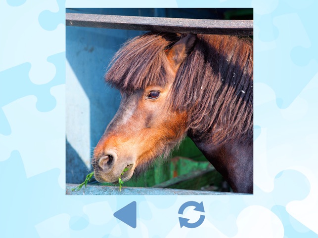 Horse Puzzles for girls: jigsaw puzzle fun with many differe(圖2)-速報App