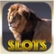 Wild Life Safari Slots Machine - Best Free Slot and Slots Tournaments!