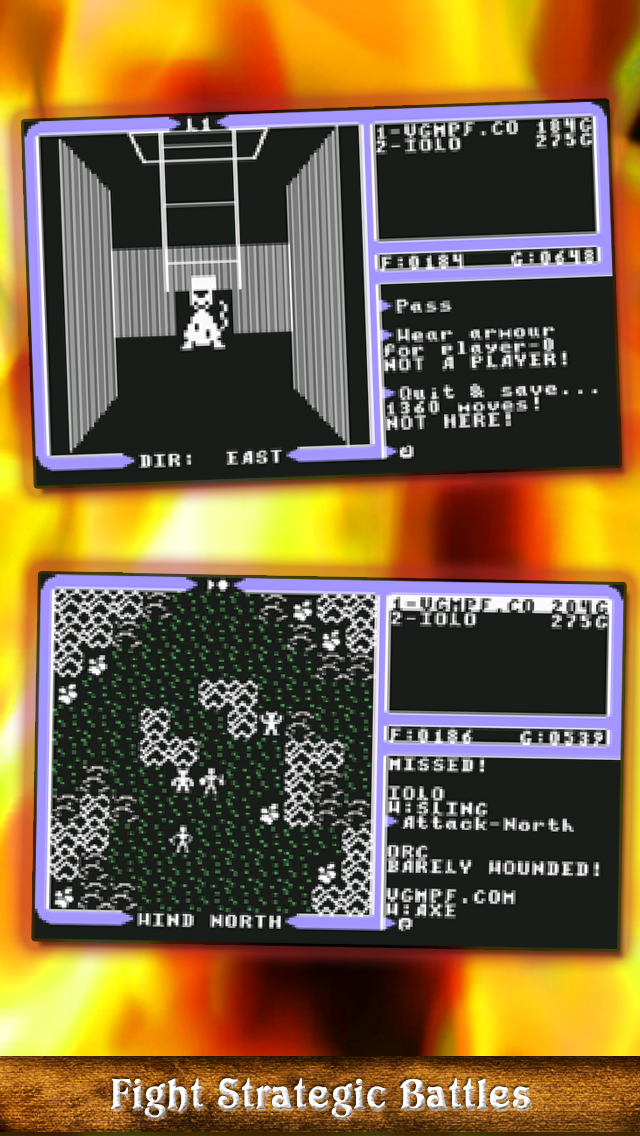 Ultima IV: C64 screenshot 2