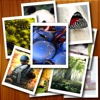 Wallpaper Factory HD Pro for iPad