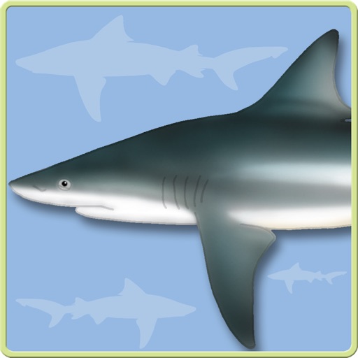 Sharks & Rays - Identification Guide for iPad