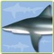 Identify sharks and rays caught in fishing, observed or photographed in dives