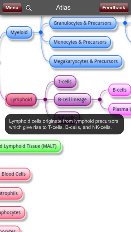 Hematology Outlines: HH Rashidi MD & JC Nguyen MD