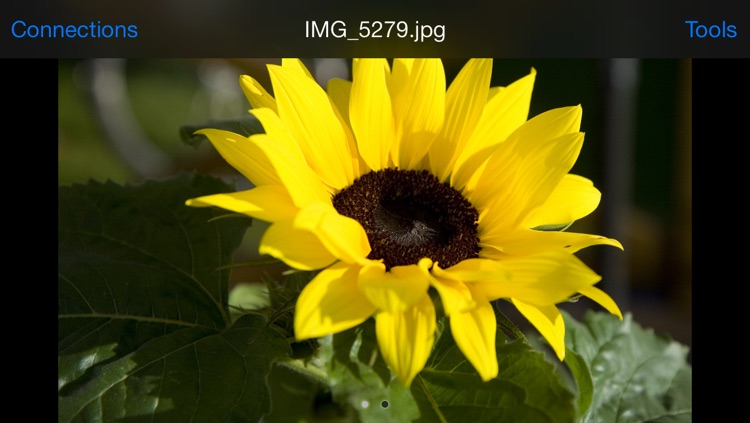 Photo Stream Viewer