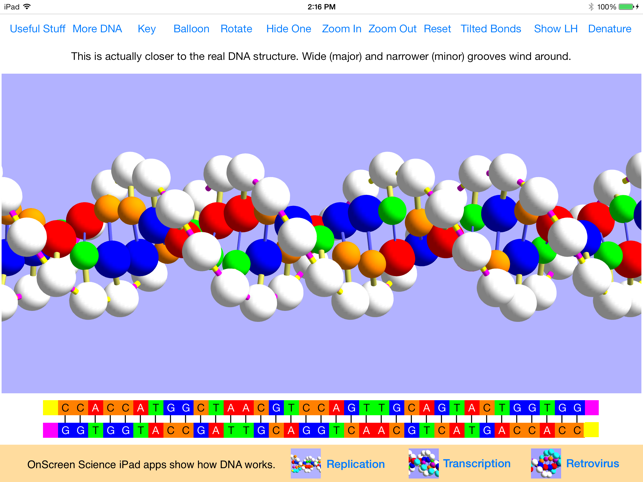 OnScreen DNA Model(圖1)-速報App