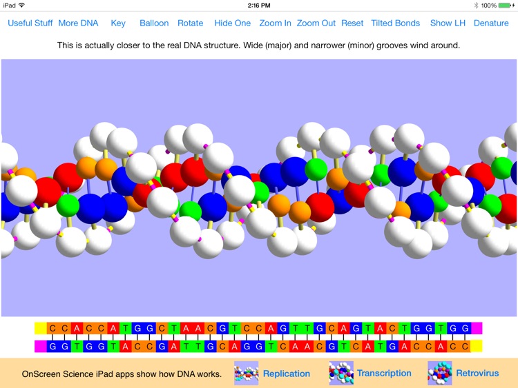 OnScreen DNA Model screenshot-0