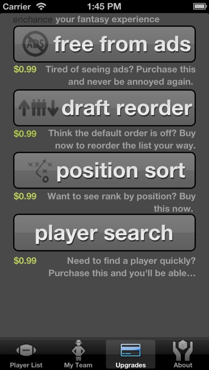 Fantasy Football 2013