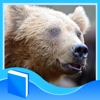 부츠의 동물원 곰