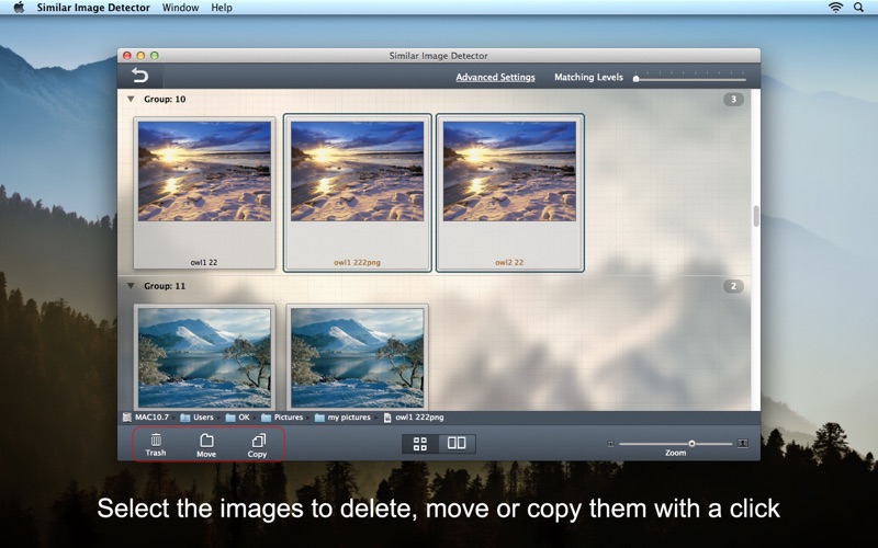 Similar Image Detector Screenshots