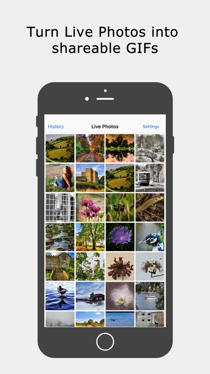 Live Photos Player - Live Gif maker and viewer