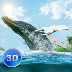 Activities of Big Blue Whale Survival 3D - Try whale simulator, be ocean animal!