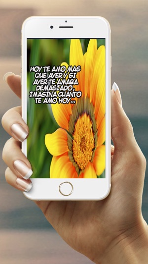 Flores con Frases Gratis y Hermosos Carteles Bellos(圖5)-速報App