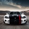 Lots of HD images for Dodge Viper lovers