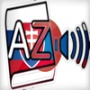 Audiodict 日本語 スロバキア語 辞書 Audio Pro
