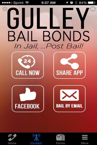 Gulley Bail bonds screenshot 2