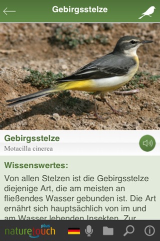 Vogelstimmen live erkennen screenshot 4