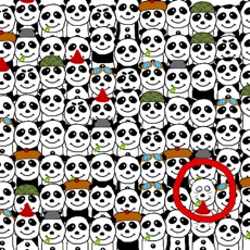 Activities of Horror Panda