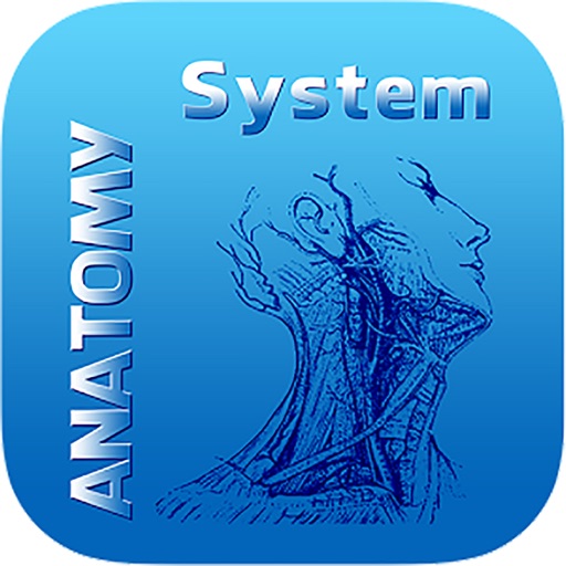 Human Anatomy System : Skeletal System - Human Anatomy Dictionary