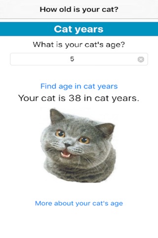 My Cat Years screenshot 3