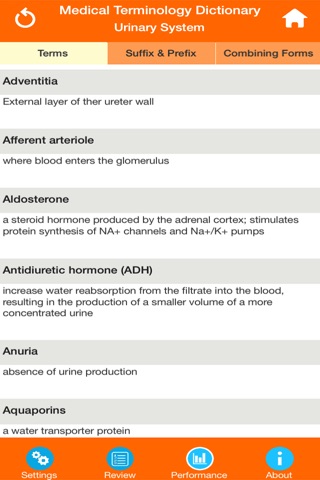 Urinary System Medical Terms screenshot 2