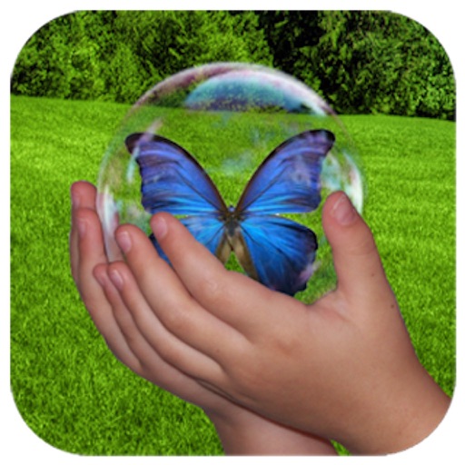 4 Seasons 5 Senses - An Interactive Children's Flashcard Story Book HD iOS App