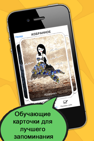 Turkish Phrasi - Free Offline Phrasebook with Flashcards, Street Art and Voice of Native Speaker screenshot 3