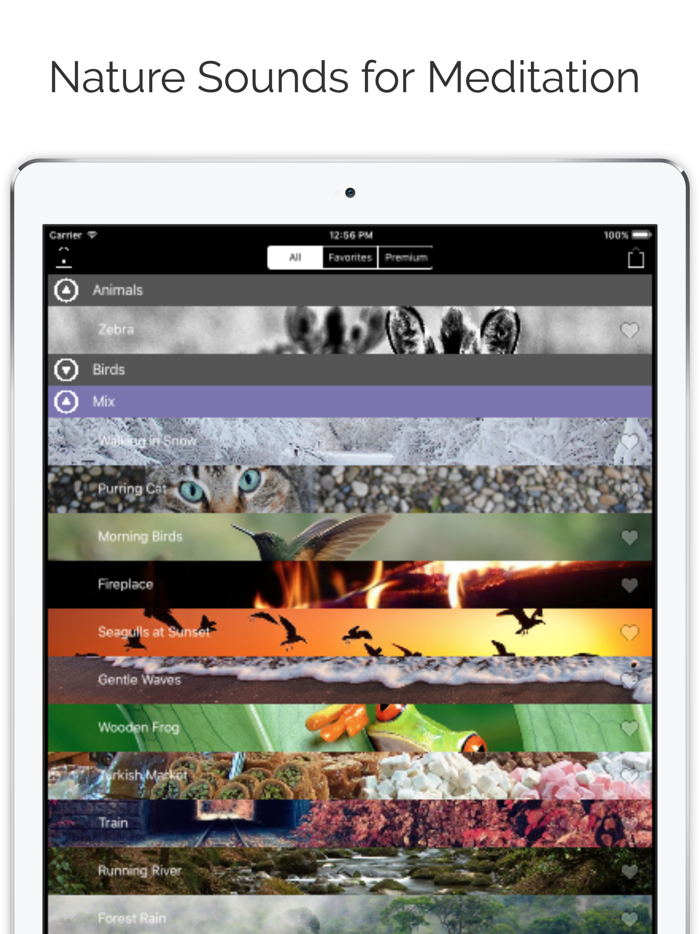 Free Nature Sounds for Yoga, Meditation and Sleep